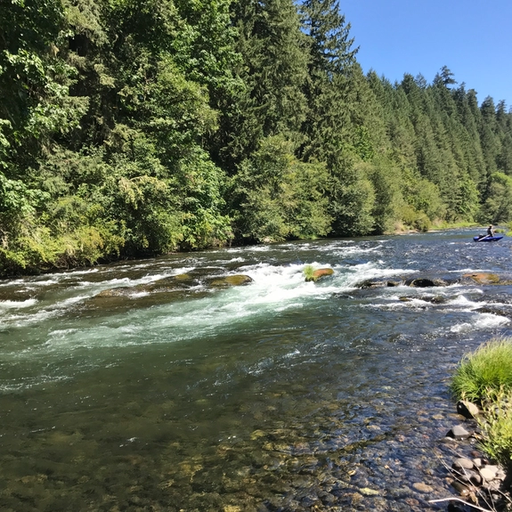 North Santiam River Safety Guide: What Kayakers, Rafters, and Anglers Must Know