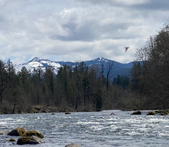 Rafting the North Santiam River with shuttle-supported float trip in Oregon