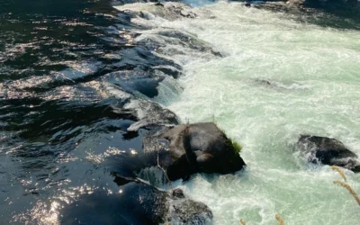 Raft Rental Companies for North Santiam River Float Trips